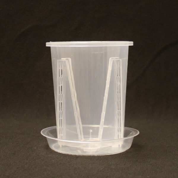Aroid pot + schaal Ø10 - Ø28 cm (8 sizes) - Afbeelding 4